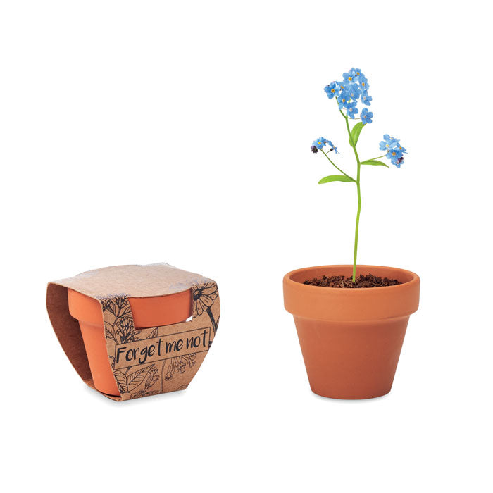 FORGET ME NOT Pot graines de myosotis