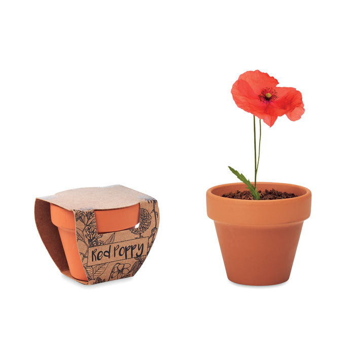 RED POPPY Pot graines de coquelicot