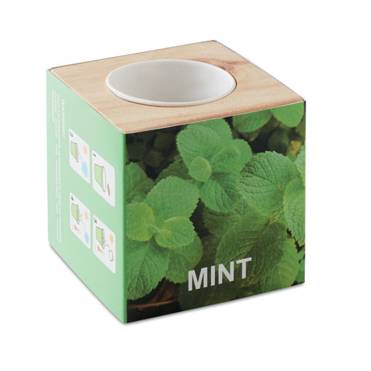 MENTA Houten pot met Muntzaad