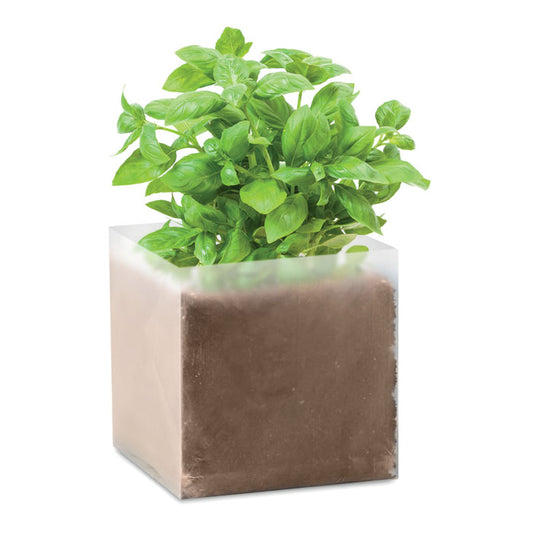 BASIL Substrat avec graines Basilic.